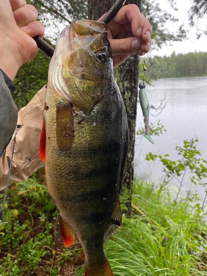 Saimaa Raikala Villa Vuoriniemi Dış mekan fotoğraf